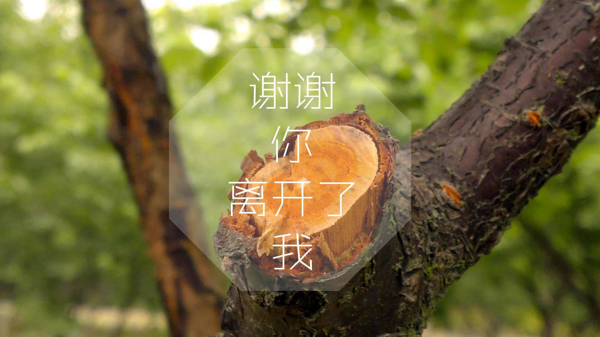 半场阵地战谁的掩护体系更成熟，半场阵地进攻区域联防的要点主要包括