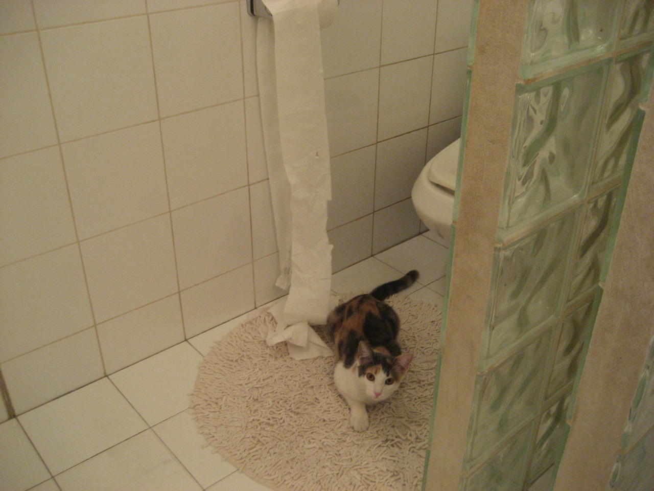 逆境崛起！那些刮起“旋风逆袭”的球队，逆风旋急速锋