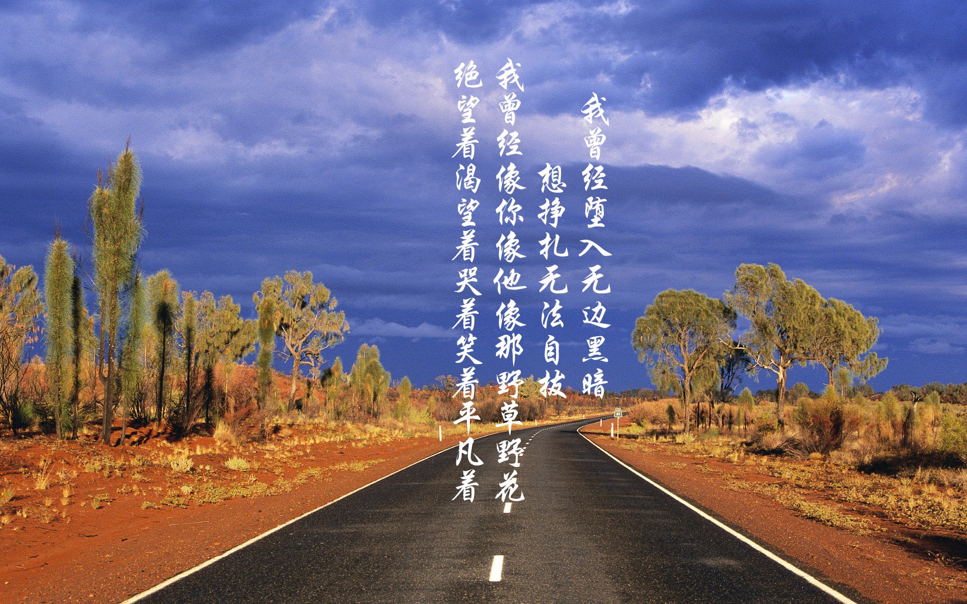 逆境崛起：曾经的“垫底队”如何逆转成季后赛热点？，逆境中崛起
