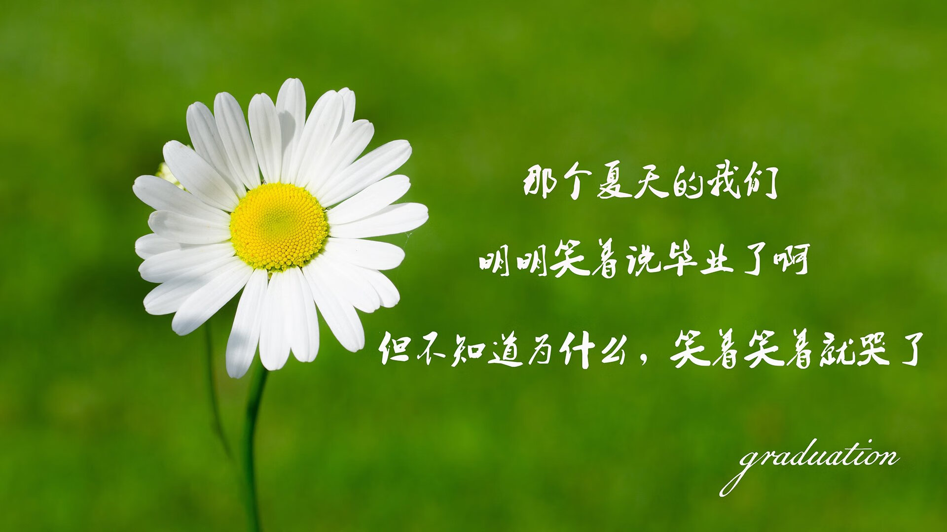 克罗地亚队凭借高效进攻战胜对手，克罗地亚队凭借高效进攻战胜对手