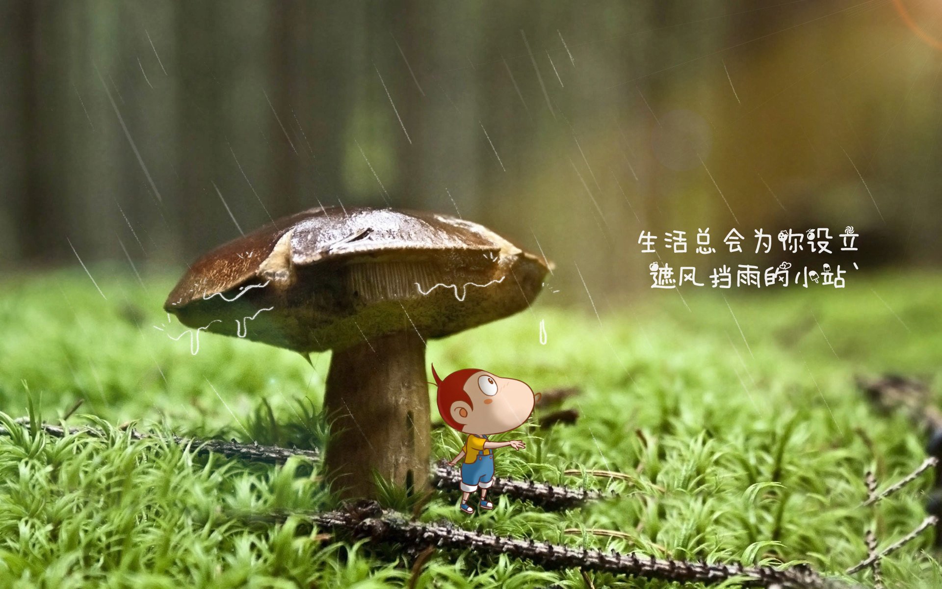 英格兰比赛现场万人合唱震撼全场，英格兰队歌曲