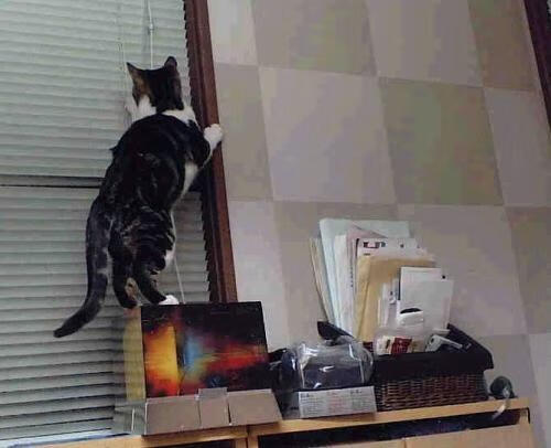 国际热身赛中国足球爆冷 球迷呼吁提升战术，中国足球热身赛结果