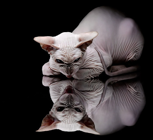 校园足球导入高频训练课程提升学生运动水平,足球如何走进学校课堂