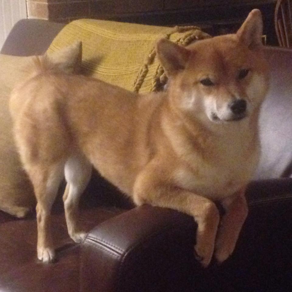 热火球队拍摄新赛季宣传片展现拼搏精神,热火球队人员名单