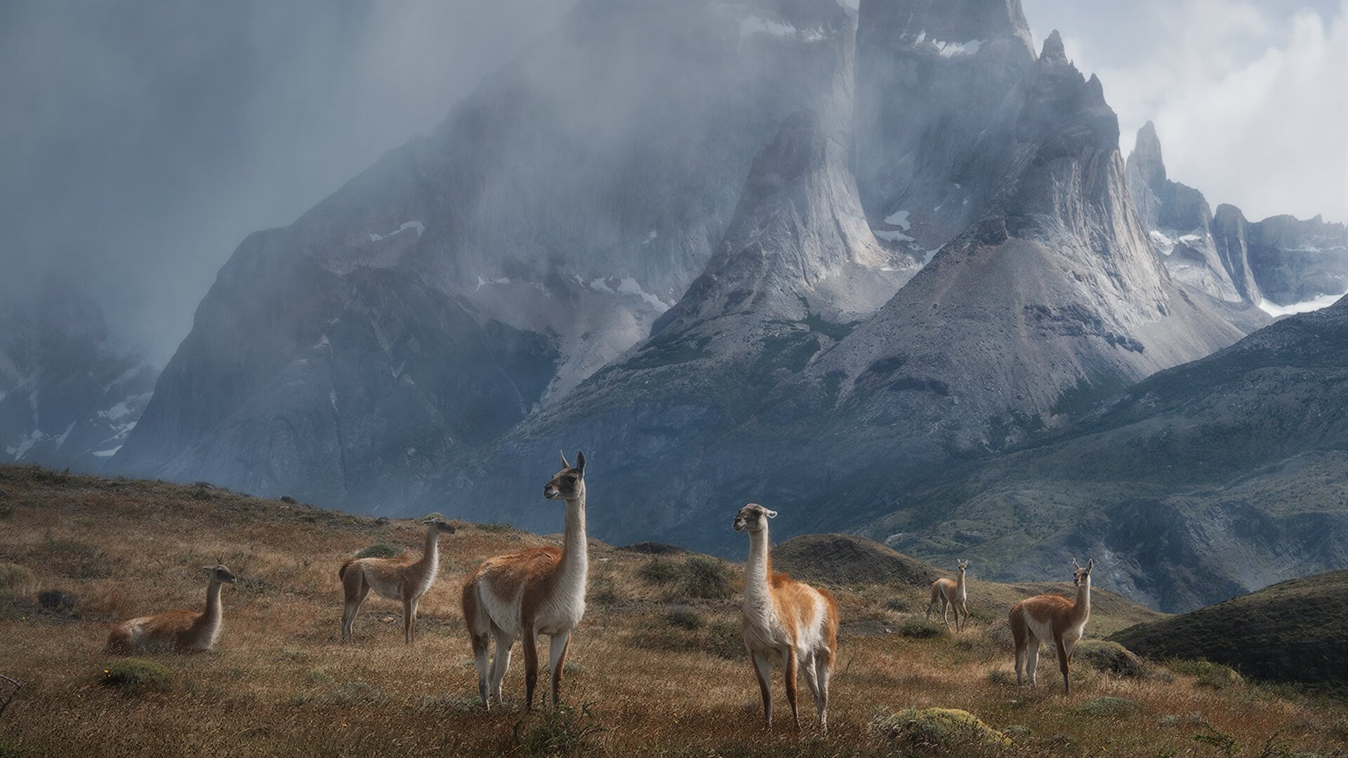 九游app下载中心-英超激情时刻：红牌判罚引发巨大争议，英超红黄牌停赛