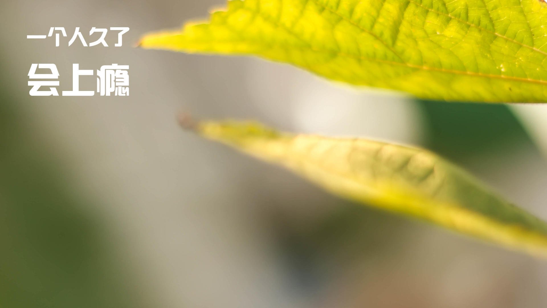 青年赛事展现未来希望，青年赛事展现未来希望的句子