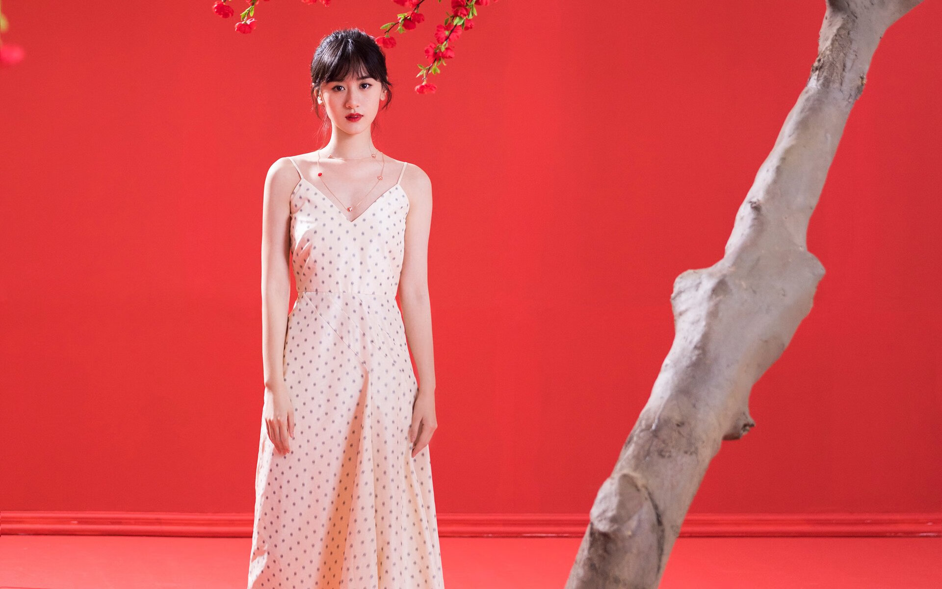 苏格兰橄榄球逐步提升竞技水平，能否逆袭世界强队？，苏格兰橄榄球联赛